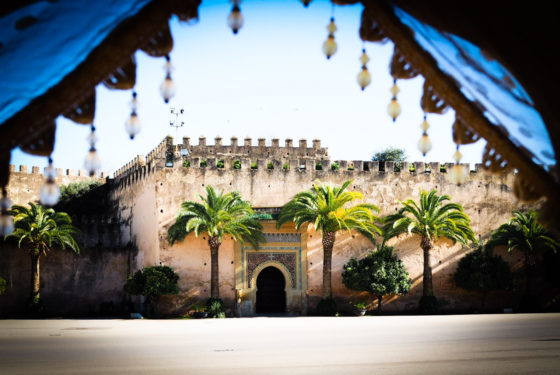 Moroccan palace walls with palm trees in front
