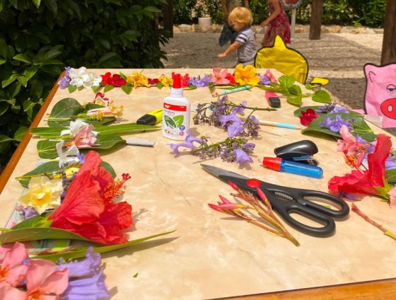 An assortment of colourful picked flowers arranged on a table