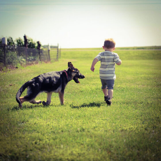 How can children interact safely with other people’s pets? 