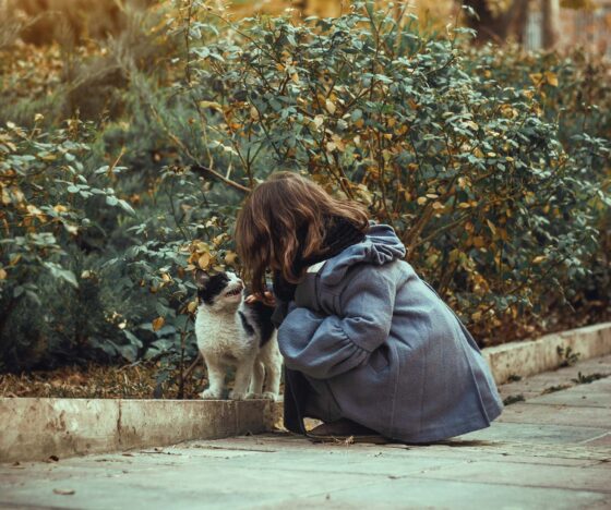 Young girl outside stroking a black and white cat