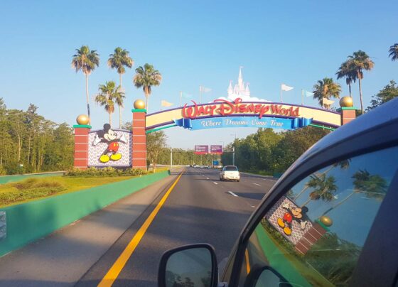 View from a car approaching the entrance to Walt Disney World