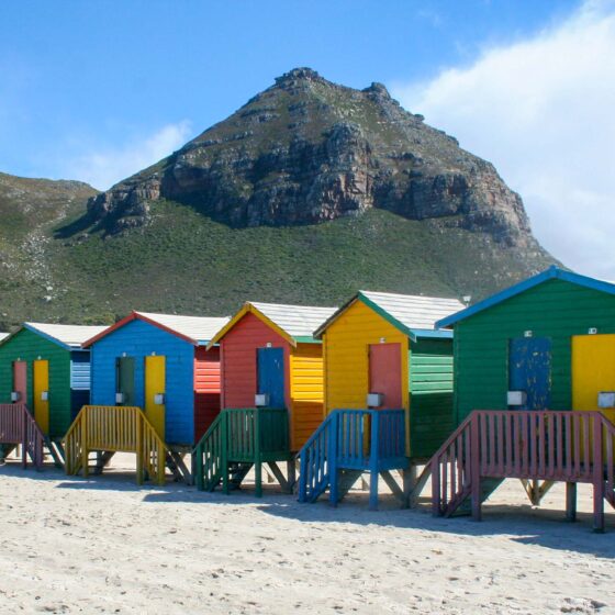 Cape Town 1 Day Itinerary with Kids