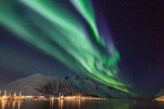 Green Aurora Borealis lights in the sky above a snowy coastline