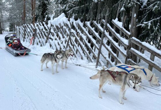 A dog sled on snow with family sat inside being pulled by a team of husky dogs
