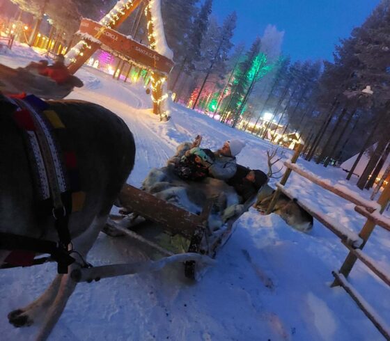 Family having a twilight reindeer sleigh ride in illuminated snowy woodland