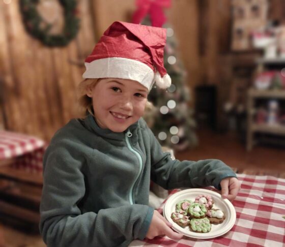 Wearing a santa hat holding a plate of cookies on a Gingham table cloth