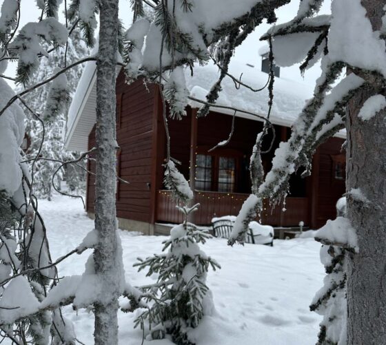 Wooden cabin in snowy woodland