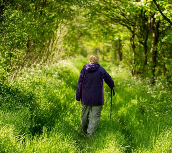 The back of an elderly person walking through green countryside with a walking stick