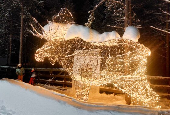 A woven wooden sculpture of a moose lit up with string lights