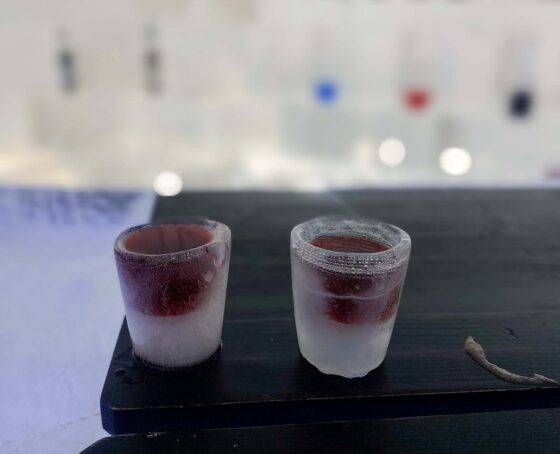 2 shot glasses made out of ice filled with purple liquid