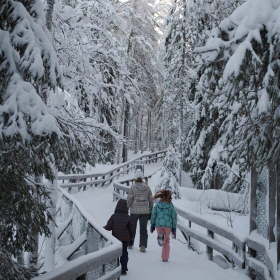 Family in ski clothes walking on a path through snowy woodland