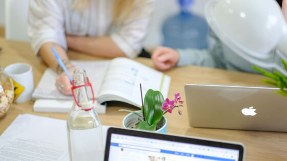 Blurred focus of people working at a desk with an orchid flower on